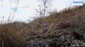 природаимы #полюсхолода. Оймяконская весна: суровая и величественная
