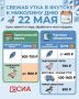 Май – месяц, когда на столе впервые в году появляются блюда из свежей утки