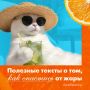 Май в Белгороде радует летней погодой