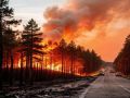 Лесной пожар перешел через трассу «Вилюй» в Якутии
