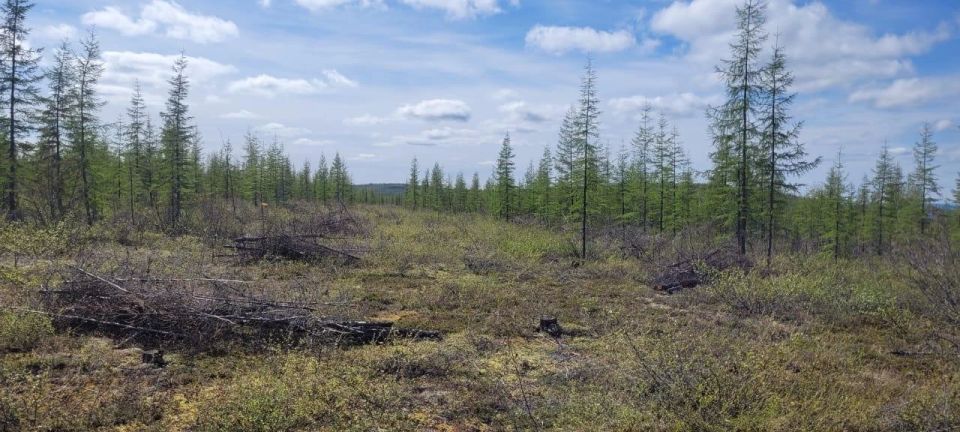 «Восточный меридиан»: В этом году дорожники проложили круглогодичную перспективу «Восточный меридиан»: В этом году дорожники проложили круглогодичную перспективу