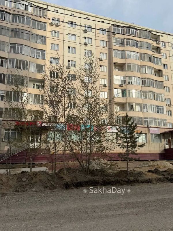 На Ойунского желтеют березы На Ойунского желтеют березы
