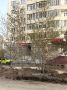 На Ойунского желтеют березы