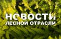 РИА Новости: Рослесхоз поддержал идею переоборудования лесных тропинок в велодорожки