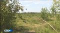 В Таттинском и Томпонском районах Якутии сохраняется IV класс пожарной опасности леса