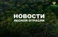 ТАСС: Количество высаженных деревьев «Сада Памяти» достигло 27 млн в День России