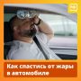 Всего двадцать минут на солнце в жаркий день достаточно, чтобы температура в салоне автомобиля поднялась до плюс пятидесяти градусов Цельсия