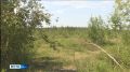Более 300 человек привлечены к тушению лесных пожаров в Якутии