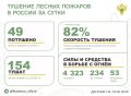 За прошедшие сутки в 12 регионах России потушили 49 лесных пожаров
