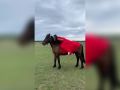 Кыргыттар олохпут сулустара
