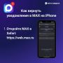 Как вернуть уведомления в MAX на iPhone
