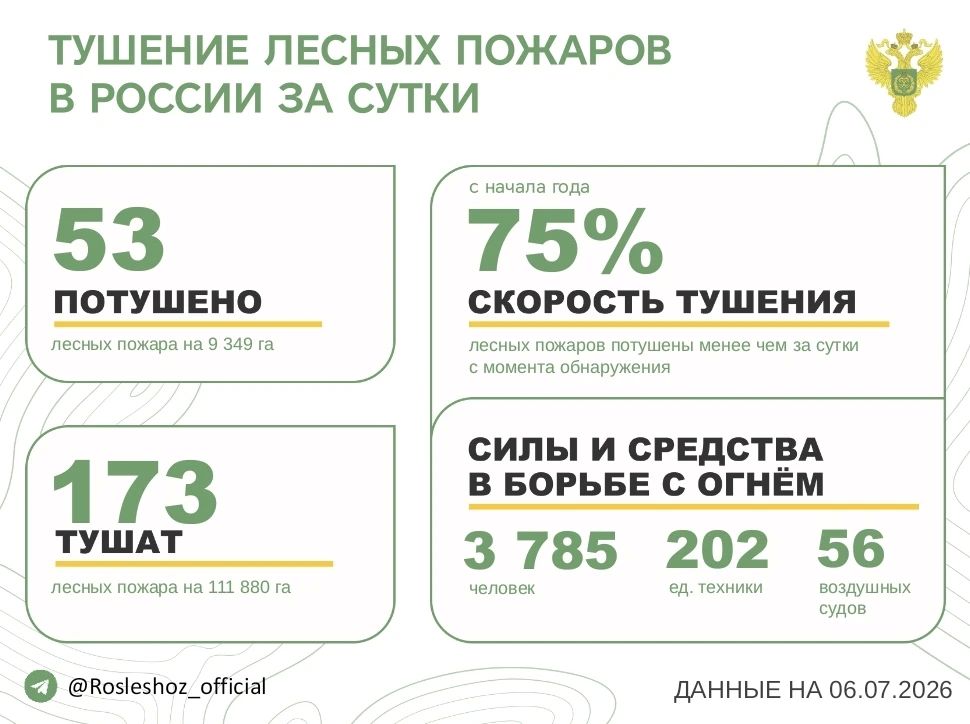 За прошедшие сутки в 15 регионах России потушили 53 лесных пожара
