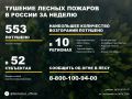 По данным Авиалесоохраны, подведомственной организации Рослесхоза, за прошедшую неделю потушено 553 лесных пожара в 41 регионе России