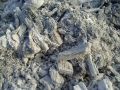 Секреты использования угольной золы в саду