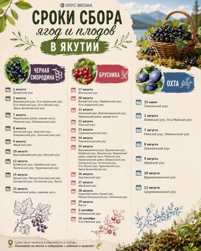 В Якутии начинается сезон сбора ягод и плодов в 2026 году В Якутии начинается сезон сбора ягод и плодов в 2026 году