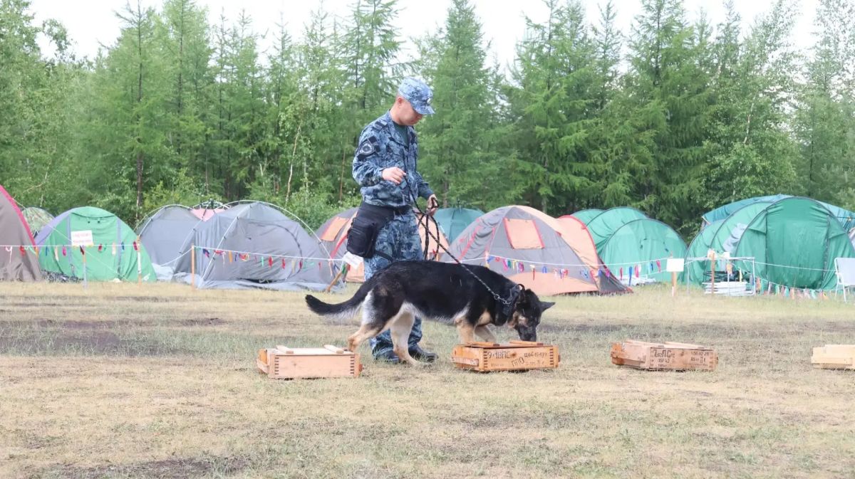 На базе Центра профподготовки МВД Якутии стартовали 15-е военно-спортивные игры для подростков «Таежный герой» На базе Центра профподготовки МВД Якутии стартовали 15-е военно-спортивные игры для подростков «Таежный герой»