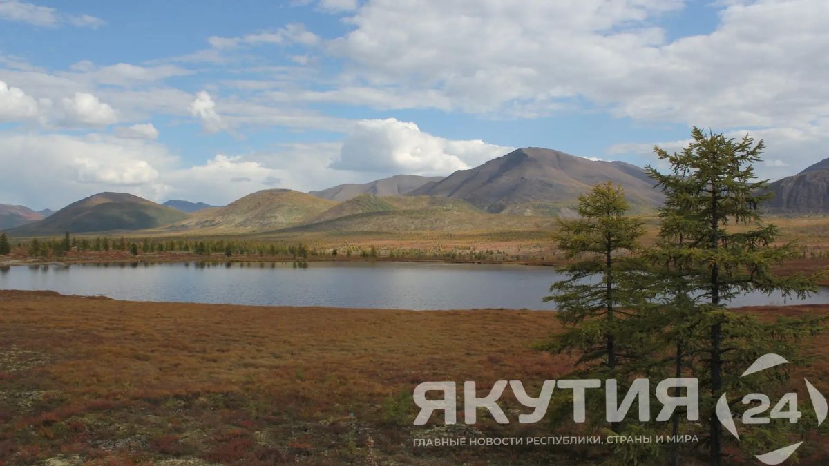 Десять лесных пожаров за сутки потушили в Якутии