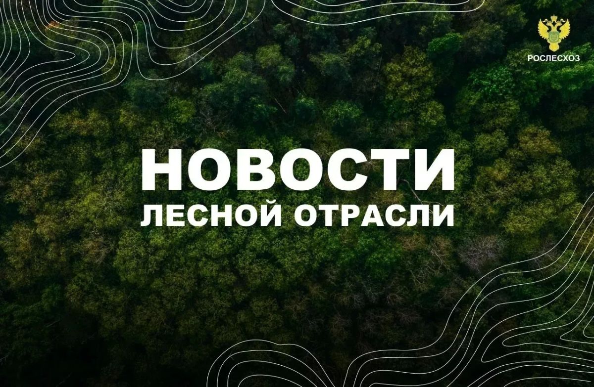 ЛесПромИнформ: Рослесхоз передал лесоустроителям 17 единиц техники для полевых работ