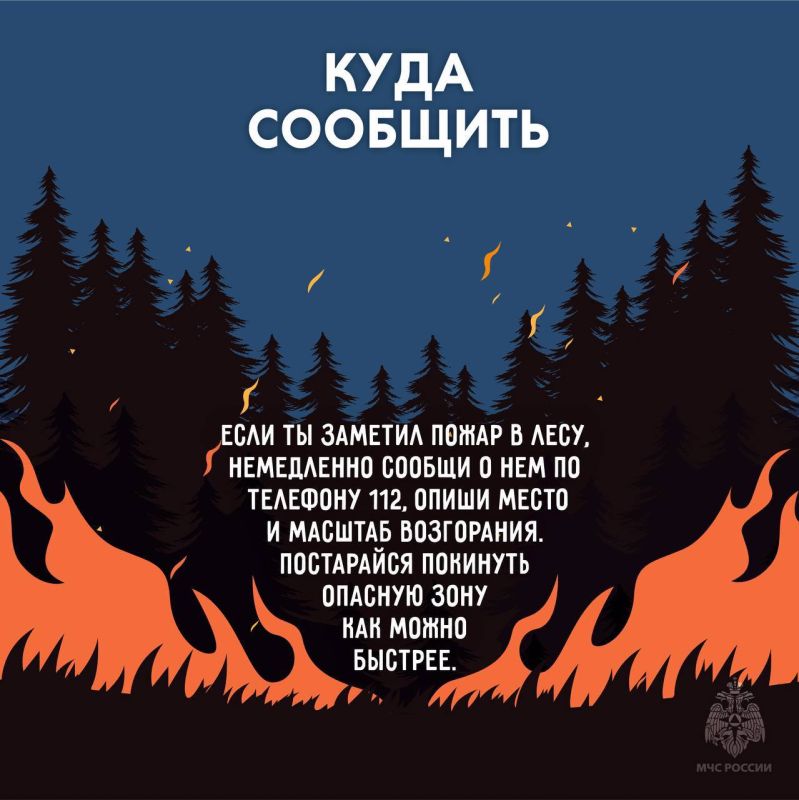 Чрезвычайно высокий (5-й) класс пожарной опасности ожидается в пяти районах: Чрезвычайно высокий (5-й) класс пожарной опасности ожидается в пяти районах: