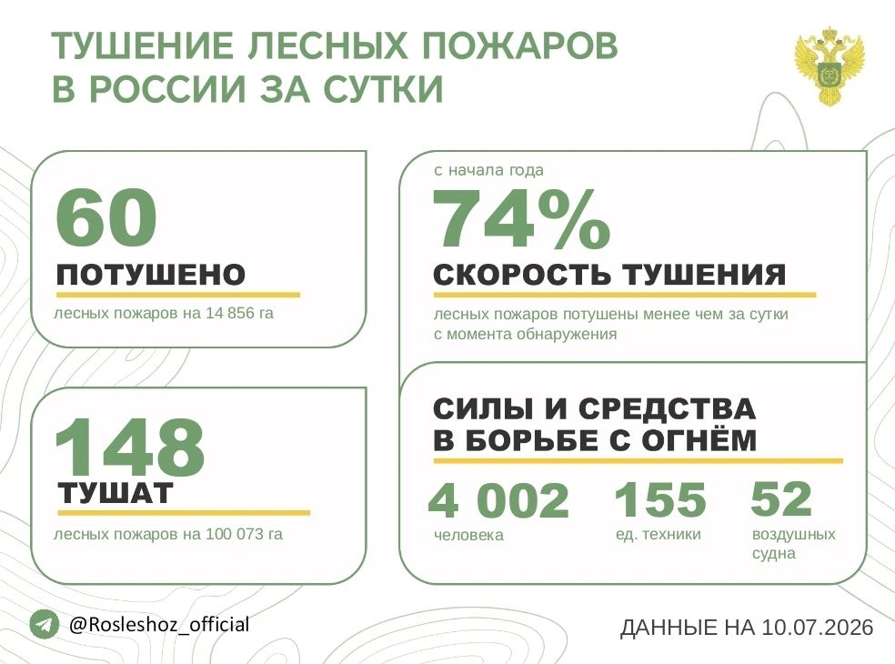 За прошедшие сутки в 12 регионах России потушили 60 лесных пожаров