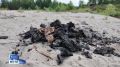 Инспекторы Государственного пожарного надзора проводят усиленные рейды в лесах Якутии