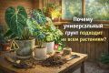 Почему универсальный грунт не является универсальным решением для всех растений