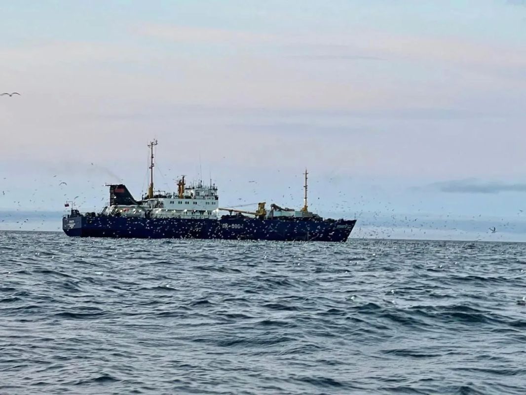 Якутские мореплаватели засняли «птичий базар» на Чукотке Якутские мореплаватели засняли «птичий базар» на Чукотке