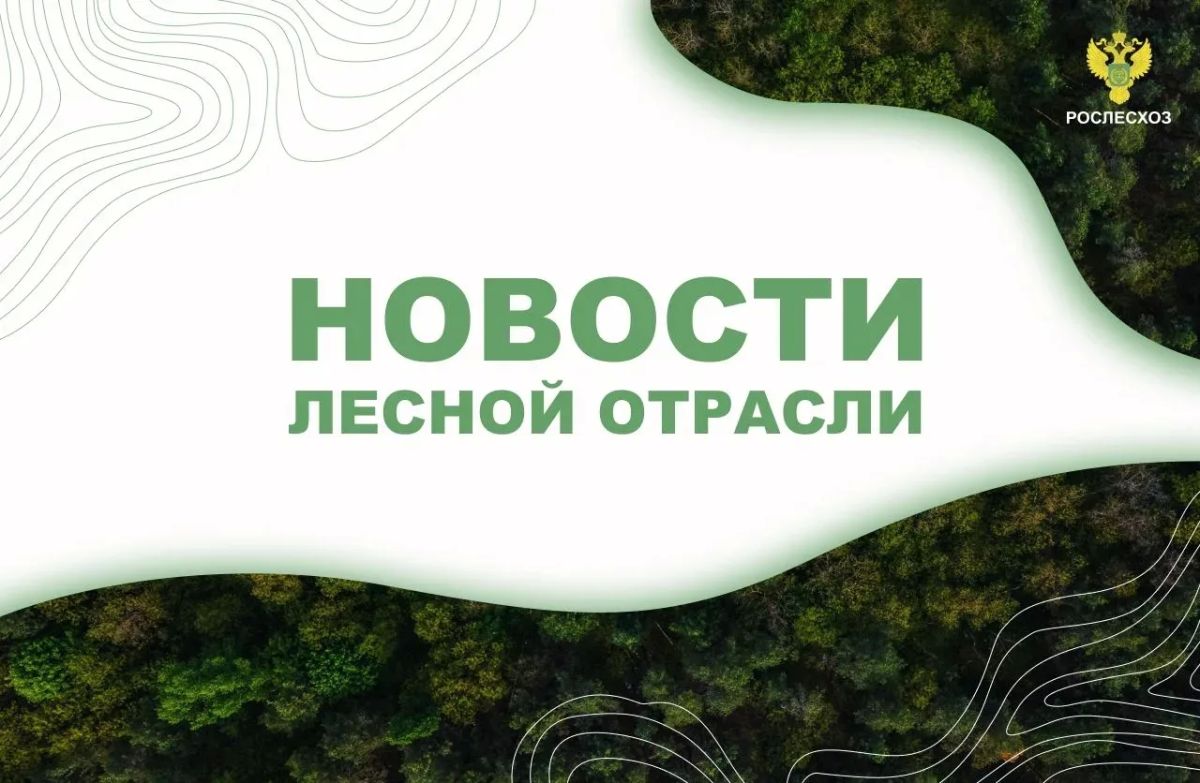 ТАСС: Площадь лесных пожаров в Югре за выходные снизилась до 4 тыс