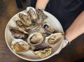 Как правильно наслаждаться устрицами: мифы и секреты от сомелье
