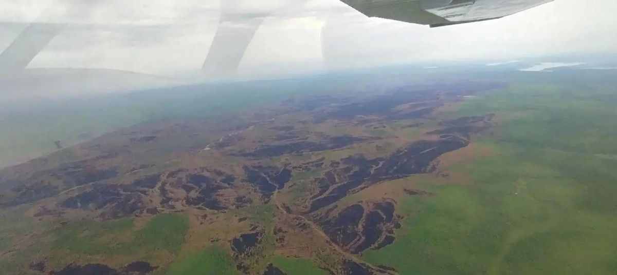 Авиалесоохрана потушила самый большой лесной пожар в Таттинском районе