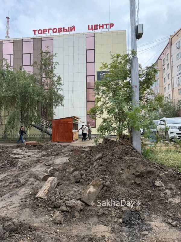 #пишут Сломали деревья. #дляsakhaday #пишут Сломали деревья. #дляsakhaday