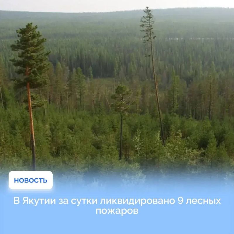 В Якутии за сутки ликвидировали 9 лесных пожаров на площади 1 639 га. Очаги потушены в Алданском, Томпонском, Мирнинском, Мегино-Кангаласском, Таттинском, Кобяйском районах и в Якутске, сообщил главный лесничий Андрей...