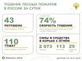 За прошедшие сутки в 12 регионах России потушили 43 лесных пожара