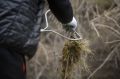 В Якутии сотни людей вышли на субботник в День реки Амга