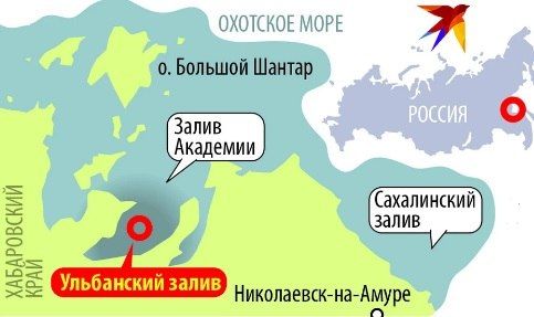 Почему рыба в России стоит так дорого Почему рыба в России стоит так дорого