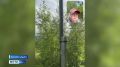Тыатааы дьонноох сиргэ тахсыыта эмиэ элбээтэ