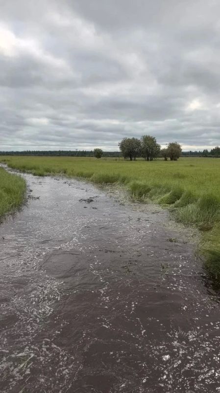 Уничтожен урожай и подтоплены дома: в Сунтарском районе из-за аномальных дождей введен режим ЧС Уничтожен урожай и подтоплены дома: в Сунтарском районе из-за аномальных дождей введен режим ЧС