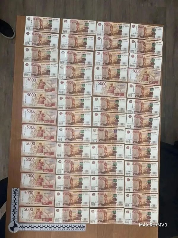 В Якутии задержали мошенников, похитивших у вдовы участника СВО почти 9 млн рублей, сообщает МВД России