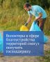 Работы по благоустройству территорий, которые выполняют на добровольной основе, будут считаться волонтерской деятельностью