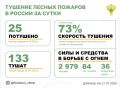За прошедшие сутки в 14 регионах России потушили 25 лесных пожаров