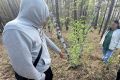 В городе Якутске несовершеннолетний предстанет перед судом по обвинению в покушении на незаконный сбыт наркотических средств