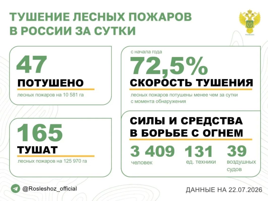 За прошедшие сутки в 18 регионах России потушили 47 лесных пожаров