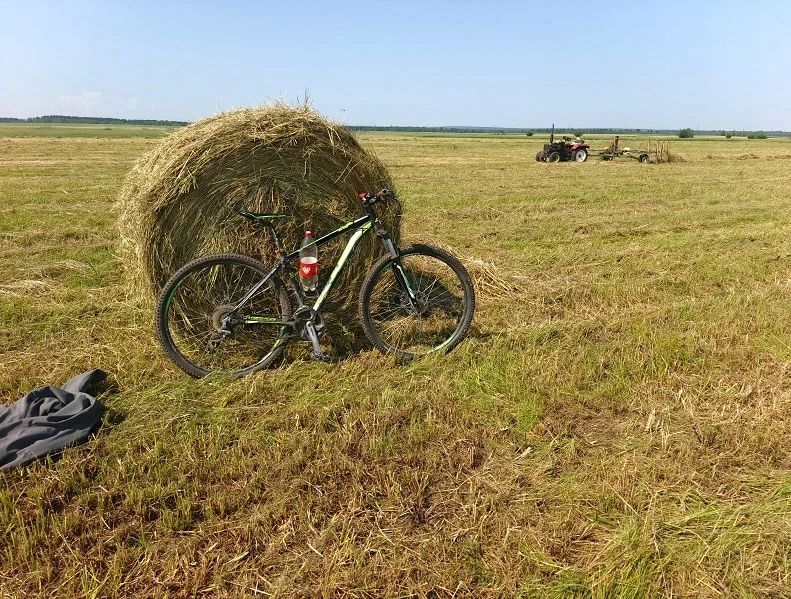 Амгинские сенокосчики не сбавляют темпов Амгинские сенокосчики не сбавляют темпов
