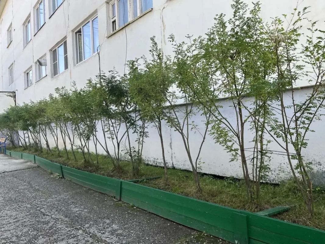 Дежурный детский сад, место, где лето становится временем встречи новых друзей Дежурный детский сад, место, где лето становится временем встречи новых друзей
