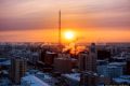 Японские биологи нашли способ борьбы с опасной воспалительной реакцией