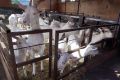 В Самарской области развиваются новые туристические направления