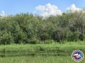 В Томпонском районе ищут 74-летнего работника «Якутскэнерго», пропавшего в лесу