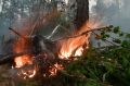 В Якутии площадь лесных пожаров превысила 128 тысяч гектаров