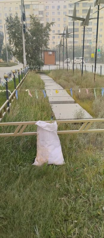 Есть профессии, которые не звучат громко, но без которых невозможно представить нашу жизнь Есть профессии, которые не звучат громко, но без которых невозможно представить нашу жизнь