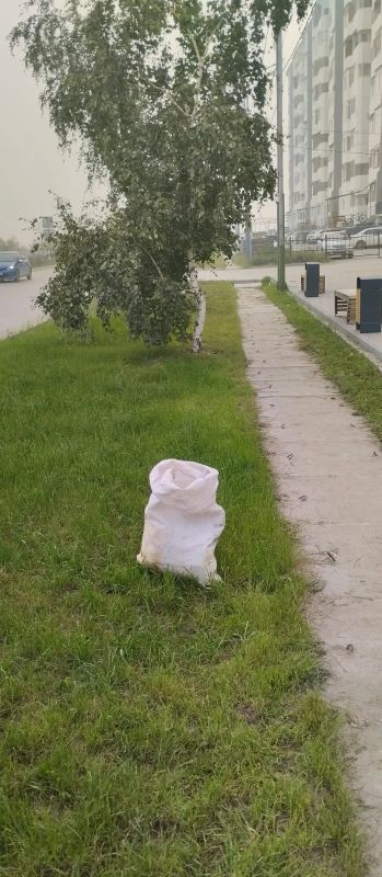 Есть профессии, которые не звучат громко, но без которых невозможно представить нашу жизнь Есть профессии, которые не звучат громко, но без которых невозможно представить нашу жизнь